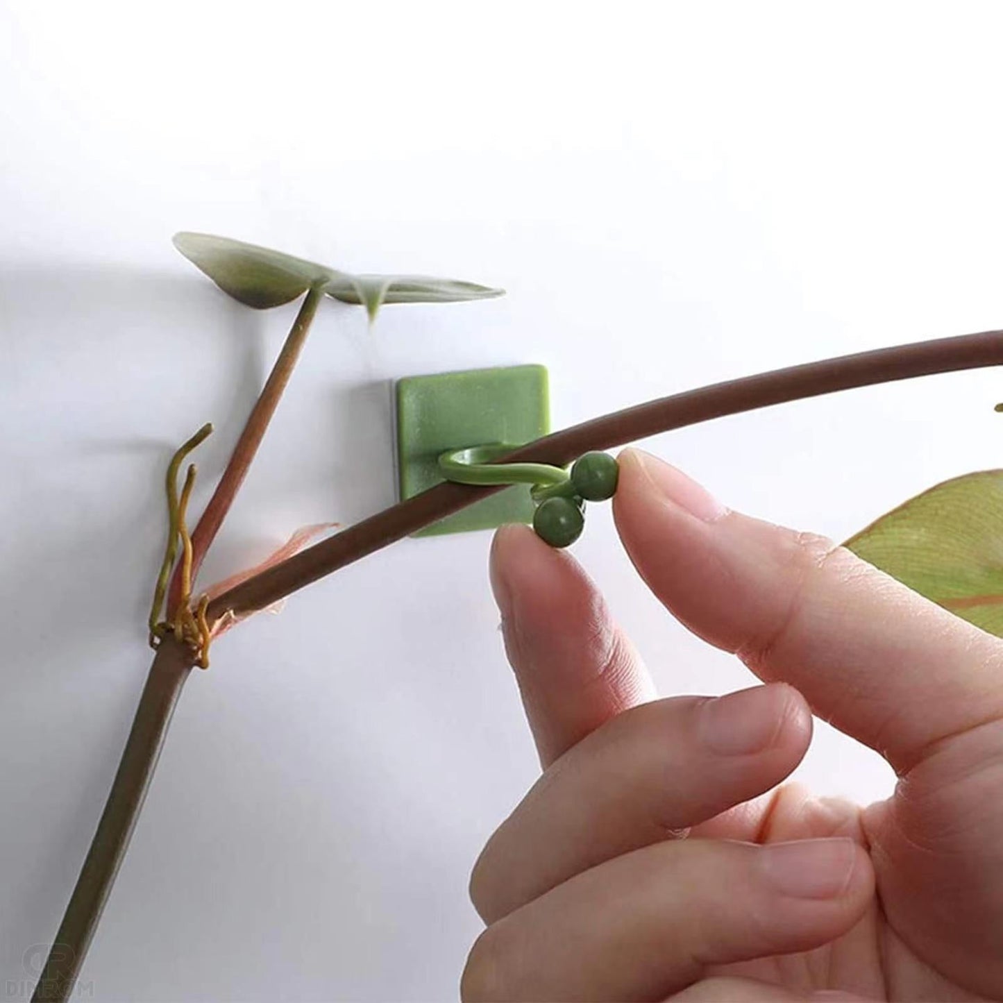Plant Climbing Wall Fixing Clips